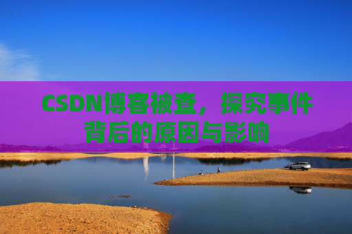 CSDN博客被查，探究事件背后的原因与影响